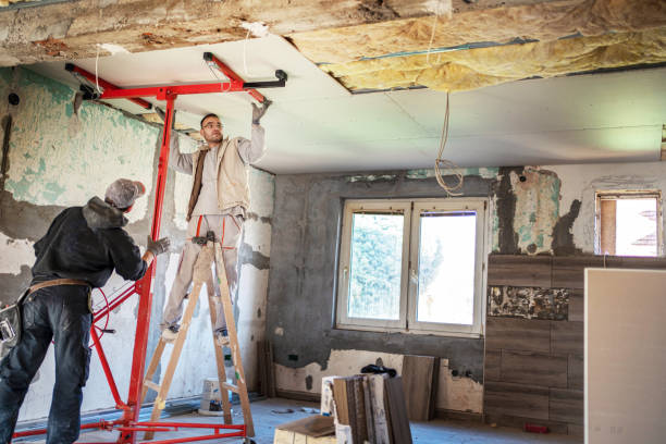 Best Commercial Insulation in Castle Rock, CO